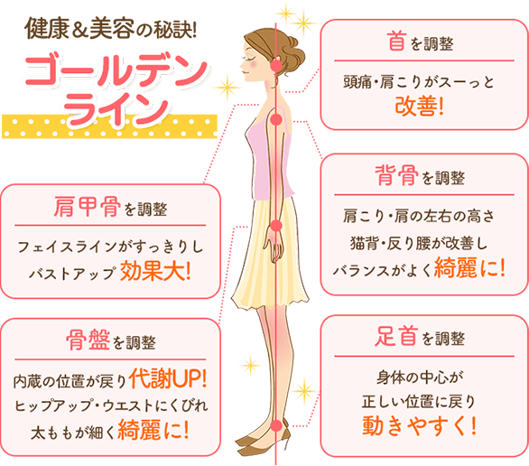 健康と美容の秘訣である、ゴールデンライン