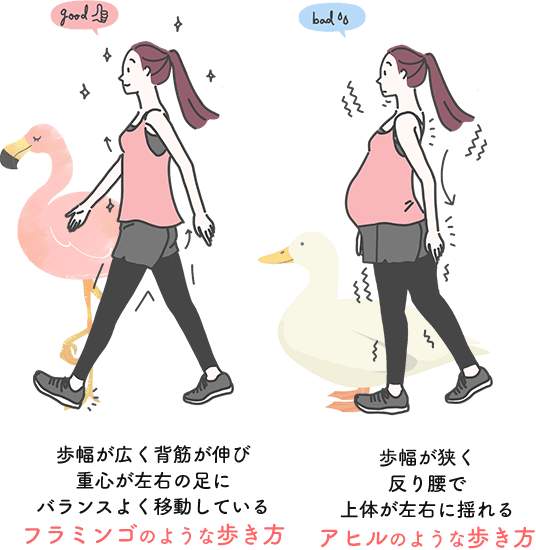 産前産後の歩き方の違い